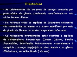 ETIOLOGIA
• As Leishmanioses são um grupo de doenças causadas por
protozoários do gênero Leishmania, manifestando-se sob
várias formas clínicas

• Na natureza todas as espécies de Leishmania existentes
são transmitidas ao homem e a outros mamíferos por meio
da picada de fêmeas de insetos hospedeiros infectados

• Os hospedeiros invertebrados estão restritos a espécies
de flebotomíneos hematófagos (Ordem Díptera, Família
Psychodidae, Sub-família Phlebotominae), especialmente à
subspécie Lutzomya longipalpis no Novo Mundo e ao gênero
Phlebotomus, no Velho Mundo ( visceral)
 