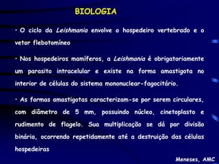 BIOLOGIA

• O ciclo da Leishmania envolve o hospedeiro vertebrado e o

vetor flebotomíneo

• Nos hospedeiros mamíferos, a Leishmania é obrigatoriamente

um parasito intracelular e existe na forma amastigota no

interior de células do sistema mononuclear-fagocitário.

• As formas amastigotas caracterizam-se por serem circulares,

com diâmetro de 5 mm, possuindo núcleo, cinetoplasto e

rudimento de flagelo. Sua multiplicação se dá por divisão

binária, ocorrendo repetidamente até a destruição das células

hospedeiras
                                                      Meneses, AMC
 