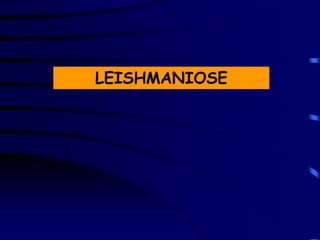 LEISHMANIOSE
 