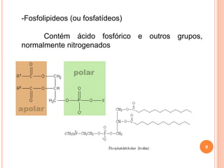 9
-Fosfolipideos (ou fosfatídeos)
Contém ácido fosfórico e outros grupos,
normalmente nitrogenados
 