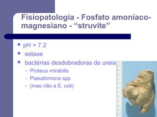 Fisiopatologia - Fosfato amoníacomagnesiano - “struvite”
 pH



> 7.2
estase
bactérias desdobradoras de ureia
–
–
–

Proteus mirabilis
Pseudomona spp
(mas não a E. coli)

 