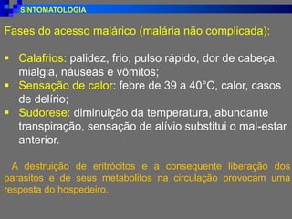 SINTOMATOLOGIA
Fases do acesso malárico (malária não complicada):
▪ Calafrios: palidez, frio, pulso rápido, dor de cabeça,
mialgia, náuseas e vômitos;
▪ Sensação de calor: febre de 39 a 40°C, calor, casos
de delírio;
▪ Sudorese: diminuição da temperatura, abundante
transpiração, sensação de alívio substitui o mal-estar
anterior.
A destruição de eritrócitos e a consequente liberação dos
parasitos e de seus metabolitos na circulação provocam uma
resposta do hospedeiro.
 