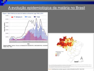 A evolução epidemiológica da malária no Brasil
Figura 1. Série histórica de casos de malária na Amazonia Legal 1900 a 2015
P. falciparum P. vivax Total
 