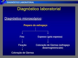 DIAGNÓSTICO LABORATORIAL
 
