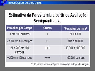 DIAGNÓSTICO LABORATORIAL
 
