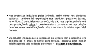 • Nos processos induzidos pelos animais, assim como nos produtos
agrícolas, também há exportação nos produtos pecuários (carne,
leite, lã, etc.) de nutrientes como Ca, Mg e K, mas o principal efeito é
pela produção de urina  quanto maior o pastejo, maior a produção
de urina, maior a nitrificação da urina e aumento da acidez superficial
do solo.
• Os estudos indicam que a integração da lavoura com a pecuária, em
comparação a áreas somente com lavoura, acarreta uma menor
acidificação do solo ao longo do tempo  ciclagem de nutrientes.
 