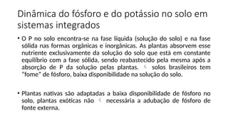 Dinâmica do fósforo e do potássio no solo em
sistemas integrados
• O P no solo encontra-se na fase líquida (solução do solo) e na fase
sólida nas formas orgânicas e inorgânicas. As plantas absorvem esse
nutriente exclusivamente da solução do solo que está em constante
equilíbrio com a fase sólida, sendo reabastecido pela mesma após a
absorção de P da solução pelas plantas.  solos brasileiros tem
“fome” de fósforo, baixa disponibilidade na solução do solo.
• Plantas nativas são adaptadas a baixa disponibilidade de fósforo no
solo, plantas exóticas não  necessária a adubação de fósforo de
fonte externa.
 