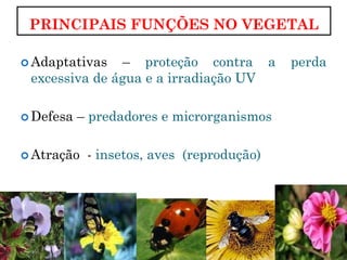 PRINCIPAIS FUNÇÕES NO VEGETAL
Adaptativas – proteção contra a perda
excessiva de água e a irradiação UV
Defesa – predadores e microrganismos
Atração - insetos, aves (reprodução)
 