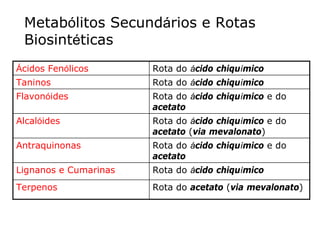Metabólitos Secundários e Rotas
Biosintéticas
Ácidos Fenólicos Rota do ácido chiquímico
Taninos Rota do ácido chiquímico
Flavonóides Rota do ácido chiquímico e do
acetato
Alcalóides Rota do ácido chiquímico e do
acetato (via mevalonato)
Antraquinonas Rota do ácido chiquímico e do
acetato
Lignanos e Cumarinas Rota do ácido chiquímico
Terpenos Rota do acetato (via mevalonato)
 
