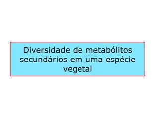 Diversidade de metabólitos
secundários em uma espécie
vegetal
 