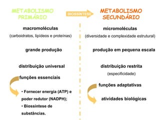METABOLISMO
PRIMÁRIO
METABOLISMO
SECUNDÁRIO
macromoléculas
(carboidratos, lipídeos e proteínas)
micromoléculas
(diversidade e complexidade estrutural)
funções essenciais
funções adaptativas
distribuição universal distribuição restrita
(especificidade)
produção em pequena escala
BIOSSÍNTESE
atividades biológicas
grande produção
• Fornecer energia (ATP) e
poder redutor (NADPH);
• Biossíntese de
substâncias.
 