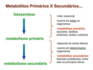 MetabMetabóólitoslitos PrimPrimáários X Secundrios X Secundáários...rios...
fotossíntese
metabolismo primário
metabolismo secundário
•vital; essencial
•ocorre em todos os
organismos
••metabmetabóólitos primlitos primááriosrios:
açúcares, lipídeos,
proteínas, ácidos nucleicos
•depende de certos fatores
•ocorre em determinados
organismos
••metabmetabóólitos secundlitos secundááriosrios:
diversas substâncias, entre
elas os princípios ativos
 