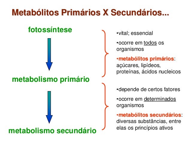 Error más grande con metabolismo hidrocarbonado bajo