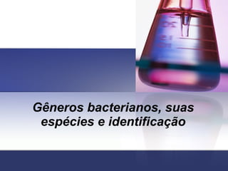 Gêneros bacterianos, suas espécies e identificação 