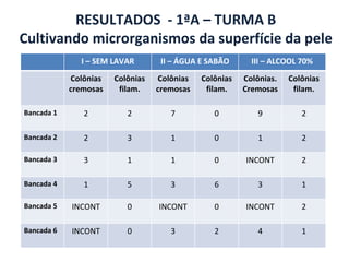 RESULTADOS  - 1ªA – TURMA B Cultivando microrganismos da superfície da pele I – SEM LAVAR II – ÁGUA E SABÃO III – ALCOOL 70% Colônias cremosas Colônias filam. Colônias cremosas Colônias filam. Colônias. Cremosas Colônias filam. Bancada 1 2 2 7 0 9 2 Bancada 2 2 3 1 0 1 2 Bancada 3 3 1 1 0 INCONT 2 Bancada 4 1 5 3 6 3 1 Bancada 5 INCONT 0 INCONT 0 INCONT 2 Bancada 6 INCONT 0 3 2 4 1 