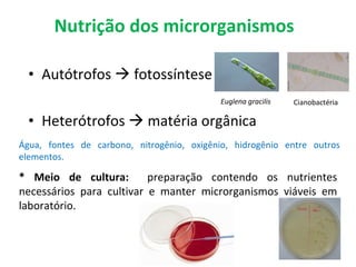 Nutrição dos microrganismos Autótrofos    fotossíntese Heterótrofos    matéria orgânica Euglena gracilis Cianobactéria Água, fontes de carbono, nitrogênio, oxigênio, hidrogênio entre outros elementos. * Meio de cultura:  preparação contendo os nutrientes necessários para cultivar e manter microrganismos viáveis em laboratório. 