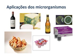 Aplicações dos microrganismos 