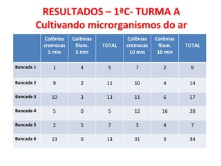 RESULTADOS – 1ªC- TURMA A Cultivando microrganismos do ar Colônias cremosas 5 min Colônias filam. 5 min TOTAL Colônias cremosas 10 min Colônias filam. 10 min TOTAL Bancada 1 1 4 5 7 2 9 Bancada 2 9 2 11 10 4 14 Bancada 3 10 3 13 11 6 17 Bancada 4 5 0 5 12 16 28 Bancada 5 2 5 7 3 4 7 Bancada 6 13 0 13 31 3 34 