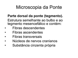 Microscopia da Ponte Parte dorsal da ponte (tegmento). Estrutura semelhante ao bulbo e ao tegmento mesencefálico e contém:  Fibras descendentes Fibras ascendentes Fibras transversais Núcleos de nervos cranianos Substância cinzenta própria 