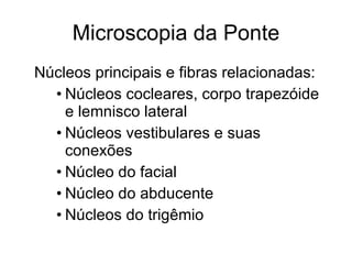 Microscopia da Ponte Núcleos principais e fibras relacionadas: Núcleos cocleares, corpo trapezóide e lemnisco lateral Núcleos vestibulares e suas conexões Núcleo do facial Núcleo do abducente Núcleos do trigêmio 
