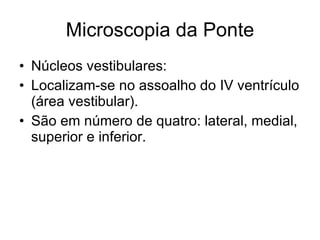 Microscopia da Ponte Núcleos vestibulares: Localizam-se no assoalho do IV ventrículo (área vestibular). São em número de quatro: lateral, medial, superior e inferior. 