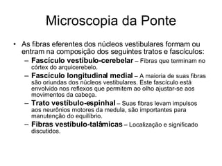 Microscopia da Ponte As fibras eferentes dos núcleos vestibulares formam ou entram na composição dos seguintes tratos e fascículos: Fascículo vestíbulo-cerebelar  – Fibras que terminam no córtex do arquicerebelo. Fascículo longitudinal medial  – A maioria de suas fibras são oriundas dos núcleos vestibulares. Este fascículo está envolvido nos reflexos que permitem ao olho ajustar-se aos movimentos da cabeça. Trato vestíbulo-espinhal  – Suas fibras levam impulsos aos neurônios motores da medula, são importantes para manutenção do equilíbrio. Fibras vestíbulo-talâmicas  – Localização e significado discutidos. 