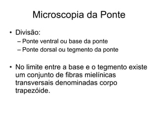 Microscopia da Ponte Divisão: Ponte ventral ou base da ponte Ponte dorsal ou tegmento da ponte No limite entre a base e o tegmento existe um conjunto de fibras mielínicas transversais denominadas corpo trapezóide. 
