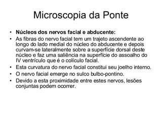 Microscopia da Ponte Núcleos dos nervos facial e abducente: As fibras do nervo facial tem um trajeto ascendente ao longo do lado medial do núcleo do abducente e depois curvam-se lateralmente sobre a superfície dorsal deste núcleo e faz uma saliência na superfície do assoalho do IV ventrículo que é o colículo facial.  Esta curvatura do nervo facial constitui seu joelho interno. O nervo facial emerge no sulco bulbo-pontino. Devido a esta proximidade entre estes nervos, lesões conjuntas podem ocorrer. 