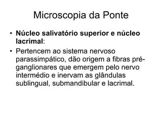 Microscopia da Ponte Núcleo salivatório superior e núcleo lacrimal : Pertencem ao sistema nervoso parassimpático, dão origem a fibras pré-ganglionares que emergem pelo nervo intermédio e inervam as glândulas sublingual, submandibular e lacrimal. 