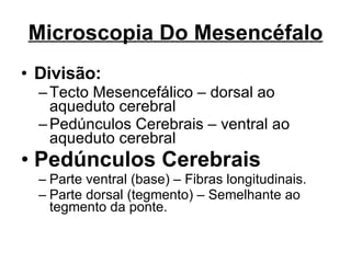 Microscopia Do Mesencéfalo Divisão: Tecto Mesencefálico – dorsal ao aqueduto cerebral Pedúnculos Cerebrais – ventral ao aqueduto cerebral Pedúnculos Cerebrais Parte ventral (base) – Fibras longitudinais. Parte dorsal (tegmento) – Semelhante ao tegmento da ponte. 