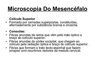 Microscopia Do Mesencéfalo Colículo Superior Formado por camadas superpostas, constituídas, alternadamente por substância branca e cinzenta .  Conexões: Fibras oriundas da retina que vêm pelo trato óptico e braço do colículo superior. Fibras oriundas do córtex occipital, que chegam ao colículo pela radiação óptica e braço do colículo superior. Fibras que formam o trato tecto-espinhal que fazem sinapse com neurônios motores da medula cervical. 