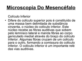 Microscopia Do Mesencéfalo Colículo Inferior Difere do colículo superior pois é constituído de uma massa bem delimitada de substância cinzenta, o núcleo do colículo inferior. Este núcleo recebe as fibras auditivas que sobem pelo lemnisco lateral e manda fibras ao corpo geniculado medial através do braço do colículo inferior. Algumas fibras cruzam de um colículo para o outro, formando a comissura do colículo inferior. O colículo inferior é um importante relé das vias auditivas. 