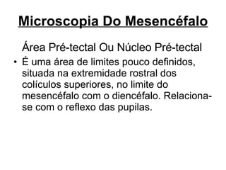 Microscopia Do Mesencéfalo Área Pré-tectal Ou Núcleo Pré-tectal É uma área de limites pouco definidos, situada na extremidade rostral dos colículos superiores, no limite do mesencéfalo com o diencéfalo. Relaciona-se com o reflexo das pupilas. 