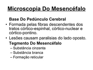 Microscopia Do Mesencéfalo Base Do Pedúnculo Cerebral Formada pelas fibras descendentes dos tratos córtico-espinhal, córtico-nuclear e córtico-pontino.  Lesões causam paralisias do lado oposto. Tegmento Do Mesencéfalo Substância cinzenta Substância branca Formação reticular 