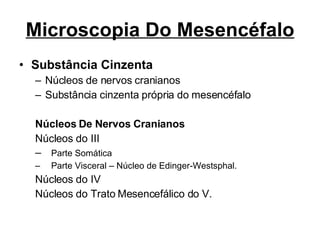 Microscopia Do Mesencéfalo Substância Cinzenta Núcleos de nervos cranianos Substância cinzenta própria do mesencéfalo Núcleos De Nervos Cranianos Núcleos do III Parte Somática Parte Visceral – Núcleo de Edinger-Westsphal. Núcleos do IV Núcleos do Trato Mesencefálico do V. 