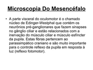 Microscopia Do Mesencéfalo A parte visceral do oculomotor é o chamado núcleo de Edinger-Westphal que contém os neurônios pré-ganglionares que fazem sinapses no gânglio ciliar e estão relacionados com a inervação do músculo ciliar e músculo esfíncter da pupila. Estas fibras pertencem ao parassimpático craniano e são muito importante para o controle reflexo da pupila em resposta à luz (reflexo fotomotor). 