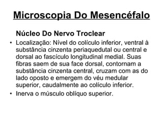 Microscopia Do Mesencéfalo Núcleo Do Nervo Troclear Localização: Nível do colículo inferior, ventral à substância cinzenta periaquedutal ou central e dorsal ao fascículo longitudinal medial. Suas fibras saem de sua face dorsal, contornam a substância cinzenta central, cruzam com as do lado oposto e emergem do véu medular superior, caudalmente ao colículo inferior.  Inerva o músculo oblíquo superior. 
