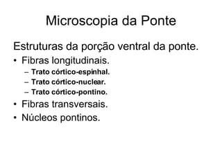 Microscopia da Ponte Estruturas da porção ventral da ponte. Fibras longitudinais. Trato córtico-espinhal. Trato córtico-nuclear. Trato córtico-pontino. Fibras transversais. Núcleos pontinos. 