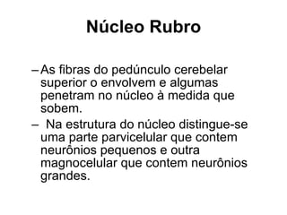 Núcleo Rubro As fibras do pedúnculo cerebelar superior o envolvem e algumas penetram no núcleo à medida que sobem. Na estrutura do núcleo distingue-se uma parte parvicelular que contem neurônios pequenos e outra magnocelular que contem neurônios grandes. 