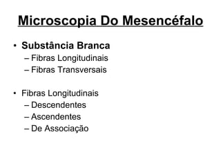 Microscopia Do Mesencéfalo Substância Branca Fibras Longitudinais Fibras Transversais Fibras Longitudinais Descendentes Ascendentes De Associação 