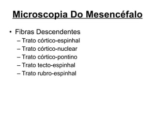 Microscopia Do Mesencéfalo Fibras Descendentes Trato córtico-espinhal Trato córtico-nuclear Trato córtico-pontino Trato tecto-espinhal Trato rubro-espinhal 