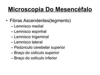 Microscopia Do Mesencéfalo Fibras Ascendentes(tegmento) Lemnisco medial  Lemnisco espinhal Lemnisco trigeminal  Lemnisco lateral Pedúnculo cerebelar superior  Braço do colículo superior Braço do colículo inferior 