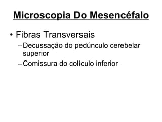 Microscopia Do Mesencéfalo Fibras Transversais Decussação do pedúnculo cerebelar superior Comissura do colículo inferior 