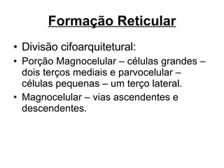 Formação Reticular Divisão cifoarquitetural: Porção Magnocelular – células grandes – dois terços mediais e parvocelular – células pequenas – um terço lateral. Magnocelular – vias ascendentes e descendentes. 