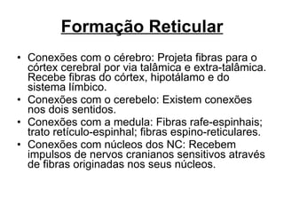 Formação Reticular Conexões com o cérebro: Projeta fibras para o córtex cerebral por via talâmica e extra-talâmica. Recebe fibras do córtex, hipotálamo e do sistema límbico. Conexões com o cerebelo: Existem conexões nos dois sentidos. Conexões com a medula: Fibras rafe-espinhais; trato retículo-espinhal; fibras espino-reticulares. Conexões com núcleos dos NC: Recebem impulsos de nervos cranianos sensitivos através de fibras originadas nos seus núcleos. 