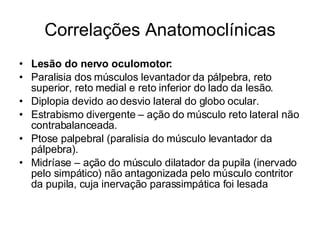 Correlações Anatomoclínicas Lesão do nervo oculomotor: Paralisia dos músculos levantador da pálpebra, reto superior, reto medial e reto inferior do lado da lesão. Diplopia devido ao desvio lateral do globo ocular. Estrabismo divergente – ação do músculo reto lateral não contrabalanceada. Ptose palpebral (paralisia do músculo levantador da pálpebra). Midríase – ação do músculo dilatador da pupila (inervado pelo simpático) não antagonizada pelo músculo contritor da pupila, cuja inervação parassimpática foi lesada  