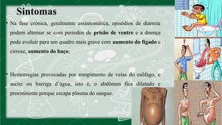 Sintomas 
• Na fase crônica, geralmente assintomática, episódios de diarreia 
podem alternar se com períodos de prisão de ventre e a doença 
pode evoluir para um quadro mais grave com aumento do fígado e 
cirrose, aumento do baço; 
• Hemorragias provocadas por rompimento de veias do esôfago, e 
ascite ou barriga d’água, isto é, o abdômen fica dilatado e 
proeminente porque escapa plasma do sangue. 
 
