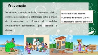 Prevenção 
• No entanto, educação sanitária, saneamento básico, 
controle dos caramujos e informação sobre o modo 
de transmissão da doença são medidas 
absolutamente fundamentais para prevenir a 
doença. 
-Tratamento dos doentes 
- Controle do molusco (vetor) 
- Saneamento básico e educação 
 