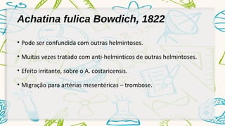 Achatina fulica Bowdich, 1822 
• Pode ser confundida com outras helmintoses. 
• Muitas vezes tratado com anti-helminticos de outras helmintoses. 
• Efeito irritante, sobre o A. costaricensis. 
• Migração para artérias mesentéricas – trombose. 
 