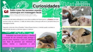 Curiosidades 
 